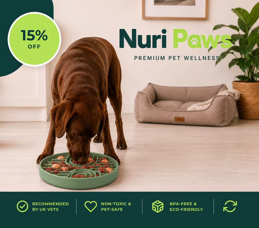 The Nuri Paws Forager