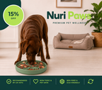 The Nuri Paws Forager