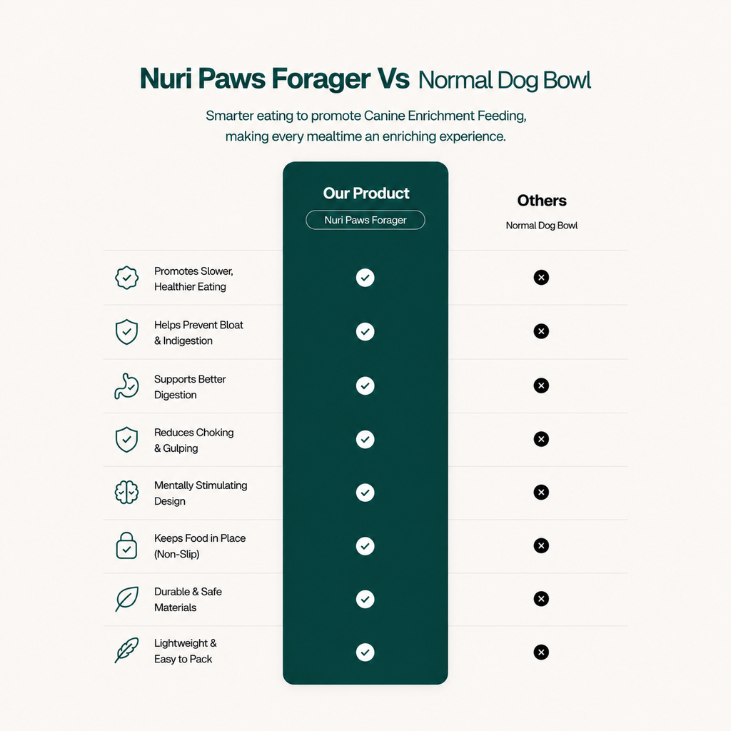 The Nuri Paws Forager
