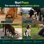 The Nuri Paws Forager