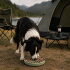 The Nuri Paws Forager